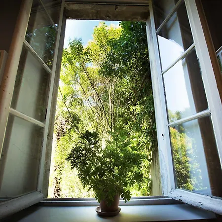 Antoine Marty Apartment Carcassonne